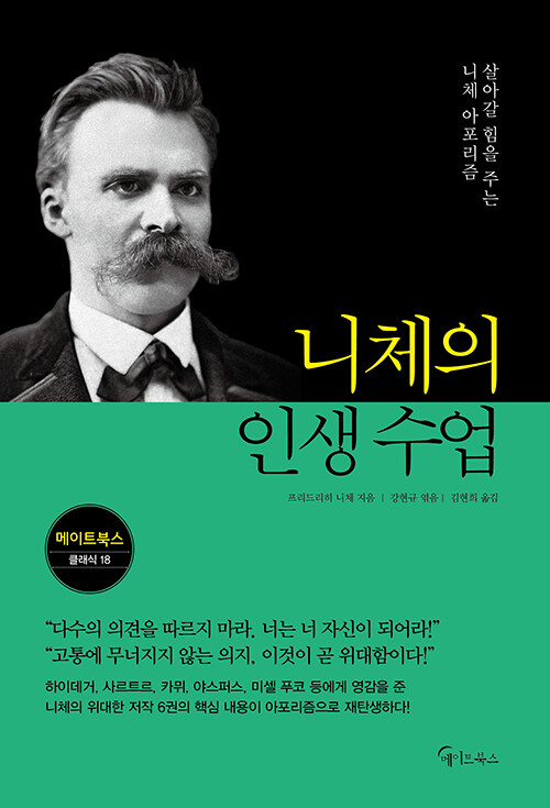 니체의 인생수업.jpg